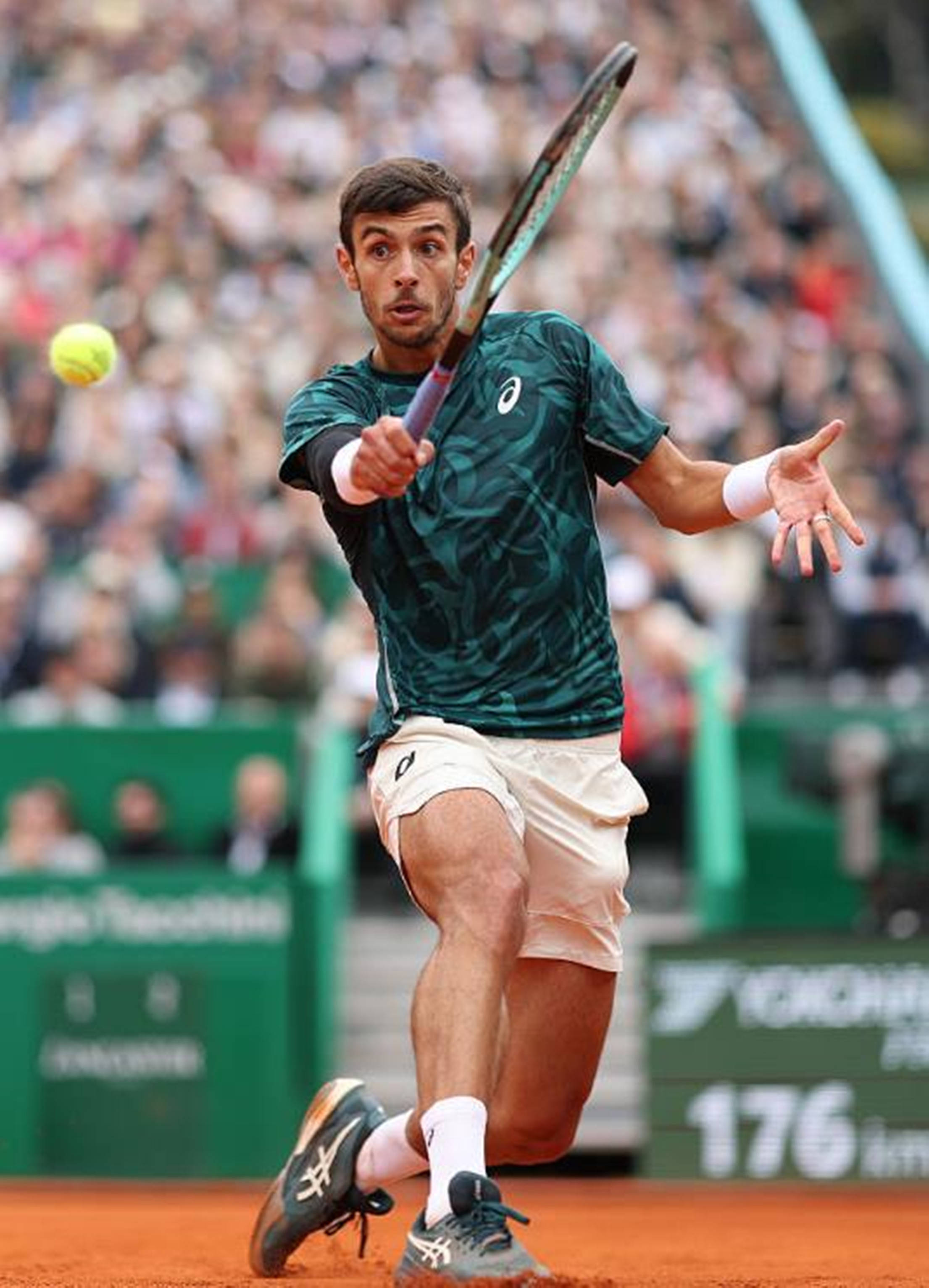 球迷影响力 球迷影响力